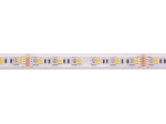 LED-ribad, 5 m rull, 24 V, 19,2 W/m, hermeetiline, IP67, RGB + WW 3000 K