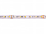LED riba 19.2W/m, 24V, RGBW (k&uuml;lm valge 6500K) 546lm, k&otilde;rge efektiivsusega, IP20, PREMIUM AKTO