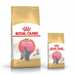 ROYAL CANIN British Shorthair Kitten 2kg kuivtoit kassipoegadele, kuni 12 kuud, briti l&uuml;hikarvaline t&otilde;ug