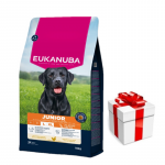 EUKANUBA Junior Large 15 kg + &uuml;llatus teie koerale