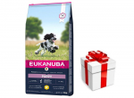 EUKANUBA Puppy & Junior keskmise suurusega t&otilde;ugudele 15 kg + KINGITUS TEIE KOERALE