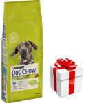 PURINA Dog Chow Adult Large Breed Turkey 14kg