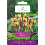 Krokus Advance, 7 tk.