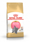 ROYAL CANIN British Shorthair Kitten 2kg kuivtoit kassipoegadele, kuni 12 kuud, briti l&uuml;hikarvaline t&otilde;ug