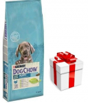 PURINA Dog Chow Puppy Large Breed Turkey 14kg