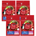 PURINA ONE Adult Medium/Maxi T&auml;iskasvanud koertele m&otilde;eldud toit, rikkalikult lambaliha ja riisiga, 4x2,5 kg