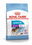 ROYAL CANIN Giant Junior 15kg + STAGMENA KUTSE KOERALE