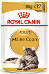 ROYAL CANIN Maine Coon Adult kotike 12x85g (Sauce)