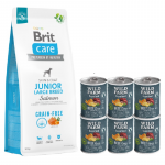 BRIT CARE Graanivaba koeratoit Junior Large Breed Salmon 12 kg + Wild Farm Superfood Beef 6x400 g graanivaba koeratoit