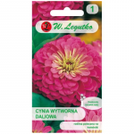 Illumination elegant dahlia - pink