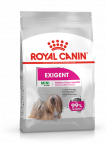 ROYAL CANIN CCN Mini Exigent 1kg kuivtoit t&auml;iskasvanud, v&auml;ikest t&otilde;ugu, kiuslikele koertele