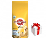 PEDIGREE Junior Keskmise t&otilde;ugu kana 15kg