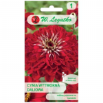 Scarlet Flame elegant dahlia - punane