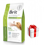BRIT GF Veterinary Diets Dog Veg Fibre 2kg + STIGMENA FOR DOG