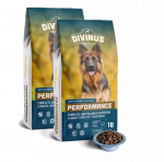 Divinus Performance saksa lambakoertele 2x10kg