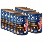 Brit Premium by Nature lambaliha BUCKWHEAT'iga 400g