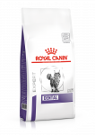 ROYAL CANIN Dental S/O DSO 29 3kg