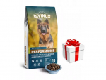 Divinus Performance saksa lambakoertele 10kg + STAGMENA FOR DOG'ile