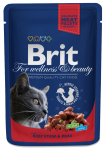 BRIT Cat BEEF & GROSS 100g
