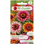 Caroussel elegant dahlia - two-coloured flower mix