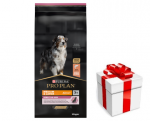 PRO PLAN Sensitive Skin keskmistele ja suurtele t&auml;iskasvanud koertele l&otilde;hega 14kg + STAIGMENA FOR DOGS