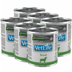 Farmina Vet Life neeruhaigustega koertele 6x300g
