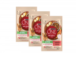 Purina One Mini/Small Active koeratoit 85 g