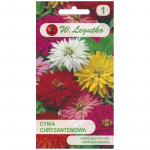 K&otilde;rge chrysanthemum segu