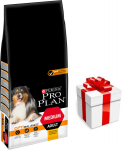 Purina Pro Plan Medium Adult Optibalance, kana ja riis 14kg + DOG STAMP