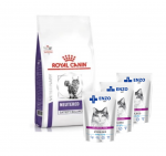 ROYAL CANIN Neutered Satiety Balance 12 kg + ENZO VET Steriliseeritud kasside dieettoit kalkunigeeliga 3x100 g