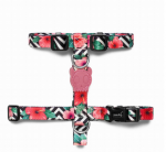 ZEE DOG Mahalo koera rakmed L