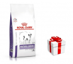 ROYAL CANIN Mature Small Dog Senior Consult Vitality & Dental 3,5kg + STAIGMENA FOR DOGS