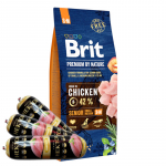 BRIT Premium By Nature Senior S+M 15 kg + Hektor linnuliha pulgad 3x900 g