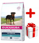EUKANUBA Adult Rottweiler 12kg + STAIGMENA FOR DOGS