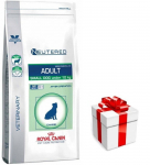 ROYAL CANIN Kastreeritud t&auml;iskasvanud v&auml;ikekoerad kaal ja hambaravi 1,5kg + STAGMENA FOR DOGS