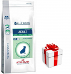 ROYAL CANIN Kastreeritud t&auml;iskasvanud v&auml;ike koer kaal ja hambaravi 3,5kg + STAGMENA FOR DOGS