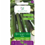 Tavaline k&otilde;rvits - suvik&otilde;rvits Soraya - tumeroheline