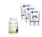 ENZO VET Renal veiselihapulbriga kassidele 3x100g + LAB-V Renalis 45 kapslitj