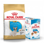 ROYAL CANIN French Bulldog Puppy 10kg kuivtoit kuni 12 kuu vanustele kutsikatele, prantsuse buldogi t&otilde;ugu