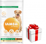 IAMS kuivtoit Vitality t&auml;iskasvanud suurt t&otilde;ugu koertele v&auml;rske kanaga 12kg + DOG STAMP