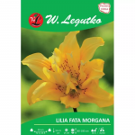 Lilia Fata Morgana kollane 1 tk.