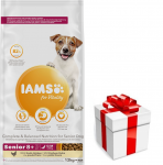 IAMS kuivtoit Vitality vanematele v&auml;ikestele ja keskmise suurusega koertele, v&auml;rske kanaga 12kg + DOG STAMP