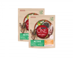 PURINA ONE Mini Active kana, riis - kuivtoit koertele - 2x800g