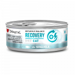 Disugual Karma m&auml;rgtoit kassidele Veterinaarne RECOVERY Sola (t&auml;iskasvanud) 85 g