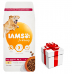 IAMS kuivtoit Vitality vanematele suure t&otilde;ugu koertele, kana 12 kg + KINGITUS TEIE KOERALE