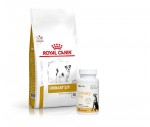 ROYAL CANIN Urinary S/O USD 20 v&auml;ikestele koertele 4 kg + LAB-V Urinary Dog &ndash; abi uriiniteede infektsioonidega koertele 45 kapslit