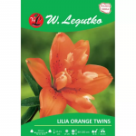 Lilia Orange twins oranž 1 tk.