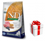 Farmina N&D Ancestral Grain canine LAMB & BLUEBERRY PUPPY MEDIUM & MAXI 12 kg + STAIGMENA FOR DOGS