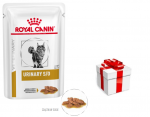 ROYAL CANIN Urinary S/O 12x85g t&uuml;kki kastmes + STAGMENA KATEI