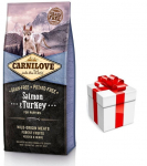 Carnilove l&otilde;he ja kalkun kutsikatele 12 kg + &uuml;llatus teie koerale